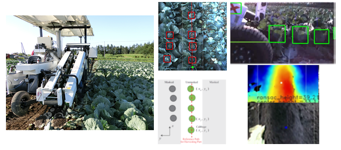 Autonomous Harvesting of Cabbage キャベツ自動収穫　ＡＩ認識　ディープラーニング　デプスカメラ (RealSense) AIプロ　スマート農業　深尾 隆則